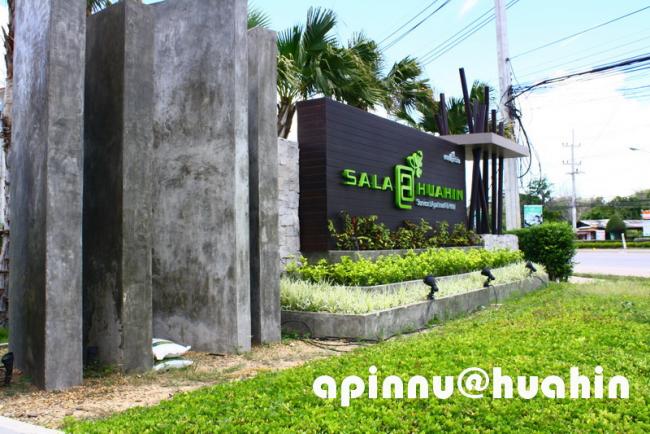 apinnu2.jpg
